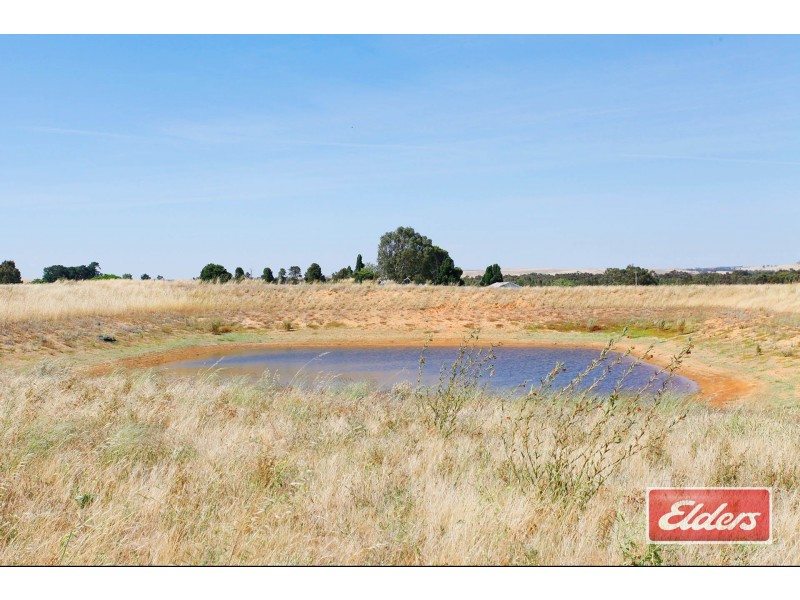 61 Neukirch Road, Nuriootpa SA 5355