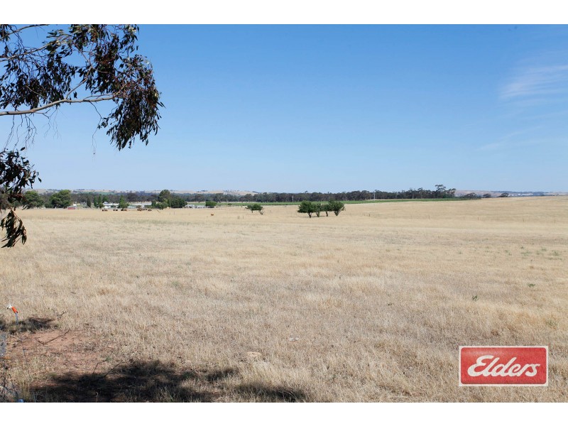 61 Neukirch Road, Nuriootpa SA 5355