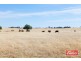 61 Neukirch Road, Nuriootpa SA 5355