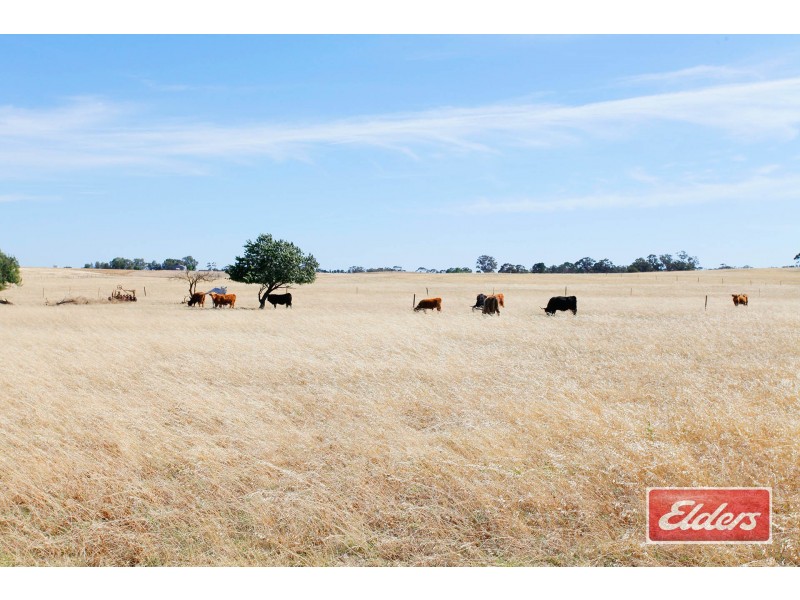 61 Neukirch Road, Nuriootpa SA 5355