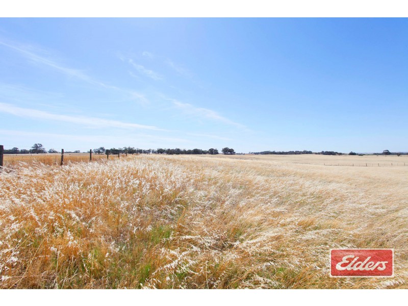 61 Neukirch Road, Nuriootpa SA 5355