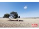 61 Neukirch Road, Nuriootpa SA 5355