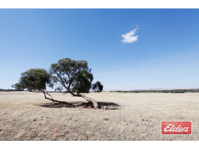 61 Neukirch Road, Nuriootpa SA 5355