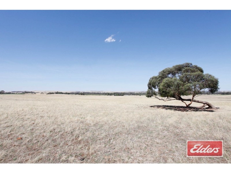61 Neukirch Road, Nuriootpa SA 5355