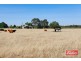 61 Neukirch Road, Nuriootpa SA 5355