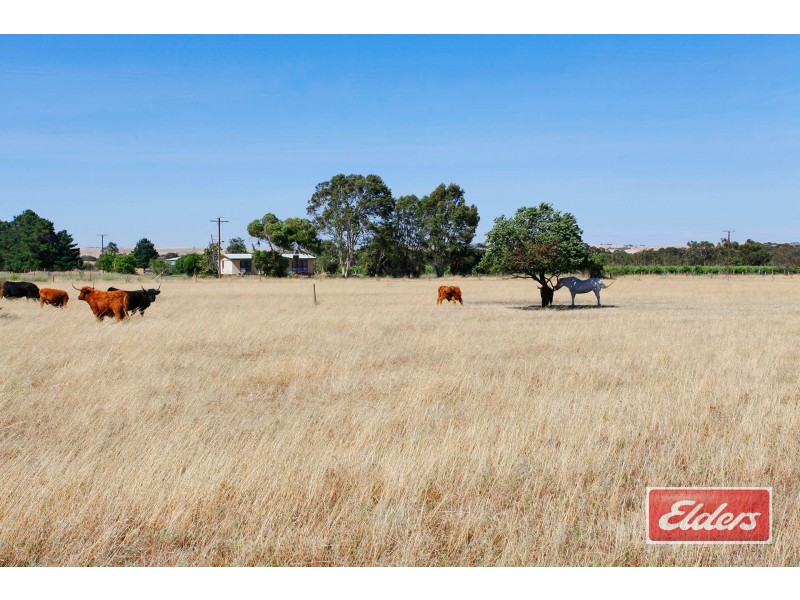 61 Neukirch Road, Nuriootpa SA 5355