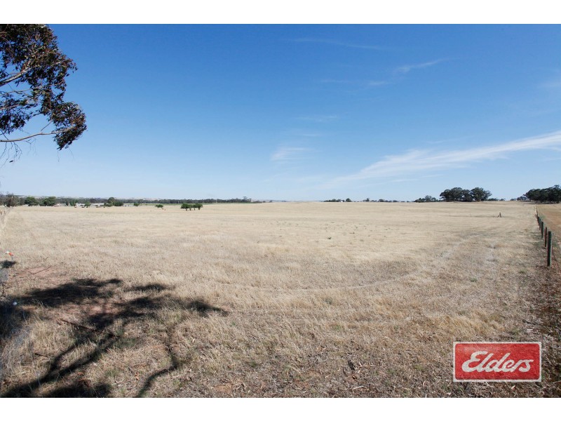 61 Neukirch Road, Nuriootpa SA 5355