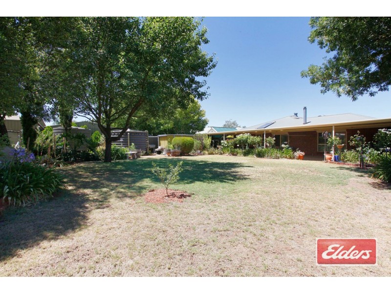 19 South Terrace, Nuriootpa SA 5355