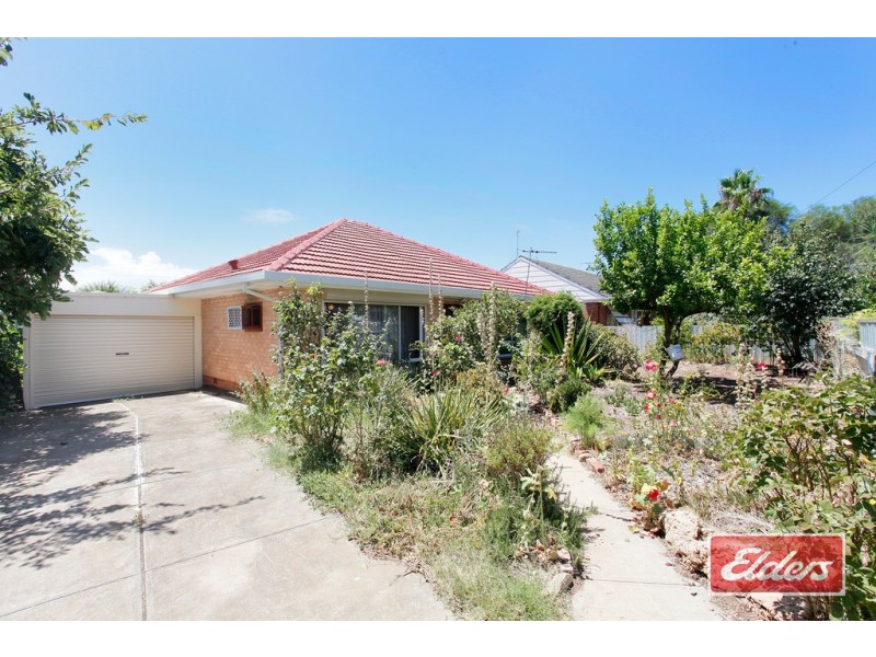 3 Amos Street, Newton SA 5074