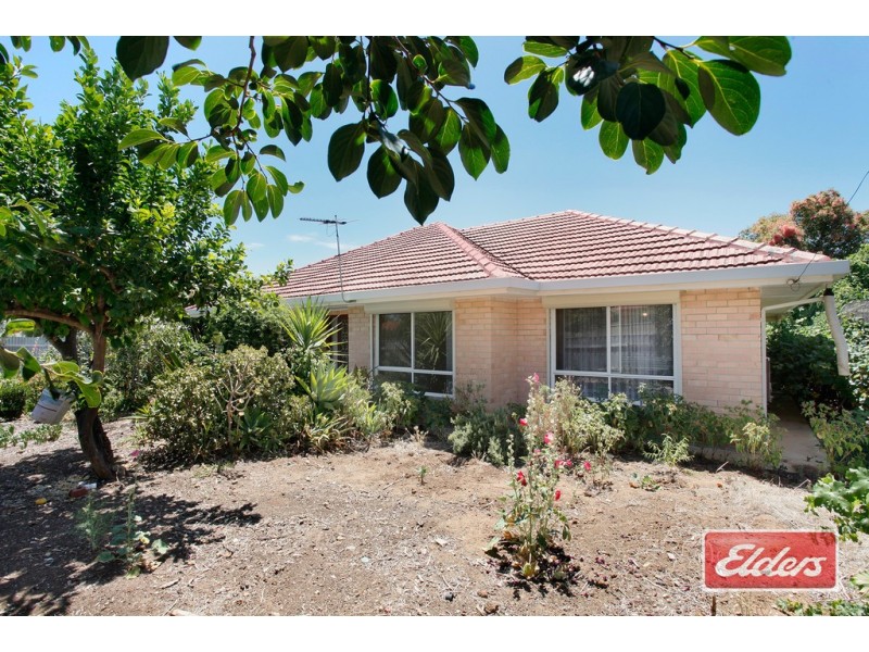 3 Amos Street, Newton SA 5074