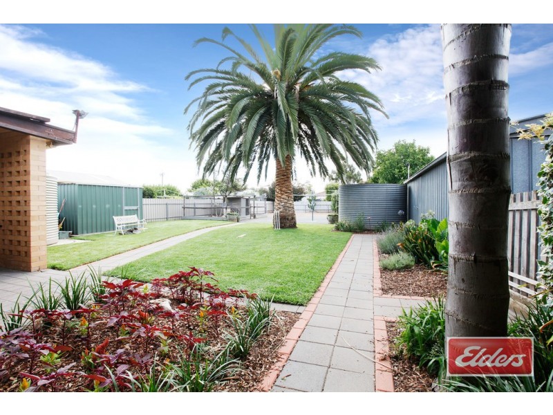 23 Krieg Street, Nuriootpa SA 5355