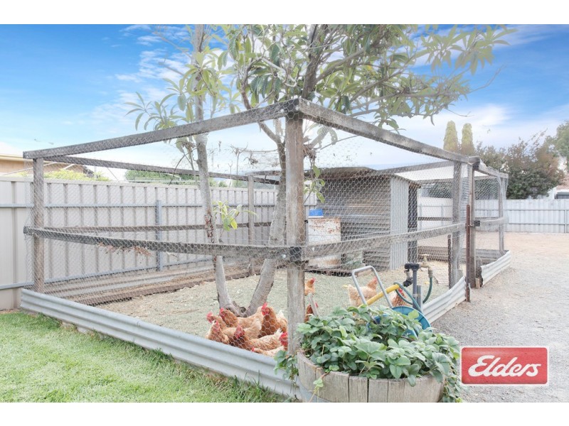 23 Krieg Street, Nuriootpa SA 5355