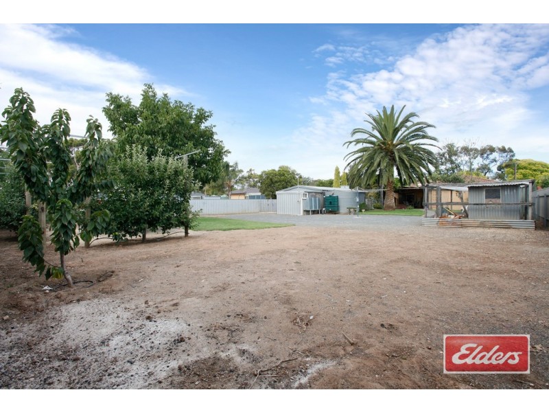 23 Krieg Street, Nuriootpa SA 5355