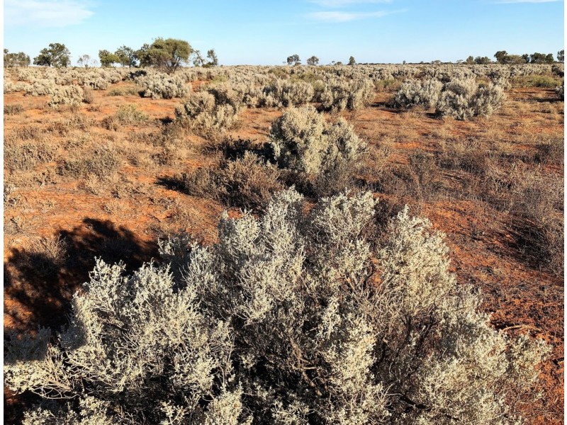 2553 Florieton Road, Mount Mary SA 5374