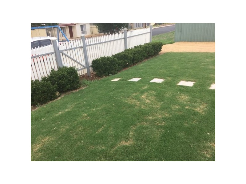 15 Margaret Street, Lyndoch SA 5351