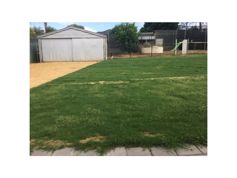 15 Margaret Street, Lyndoch SA 5351