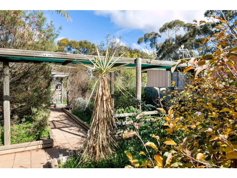 101 Goodfellow Road, Bagot Well SA 5373