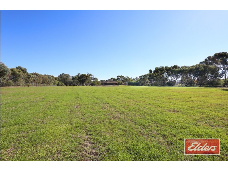 20 Prider Street, Nuriootpa SA 5355