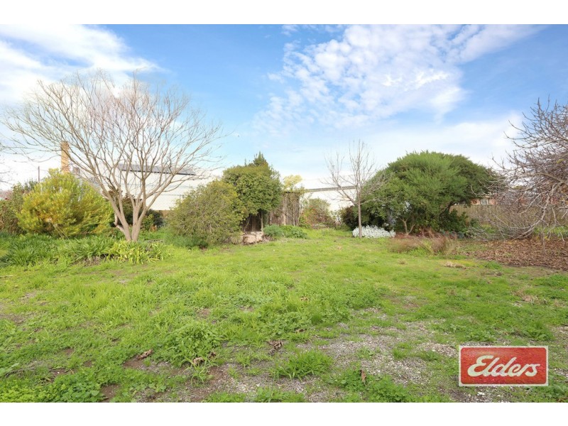 21 Hatch Street, Nuriootpa SA 5355