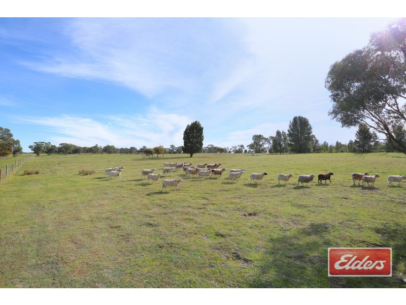 Lot 1 Kalimna Road West, Nuriootpa SA 5355