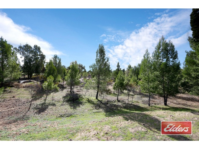 Lot 1 Kalimna Road West, Nuriootpa SA 5355