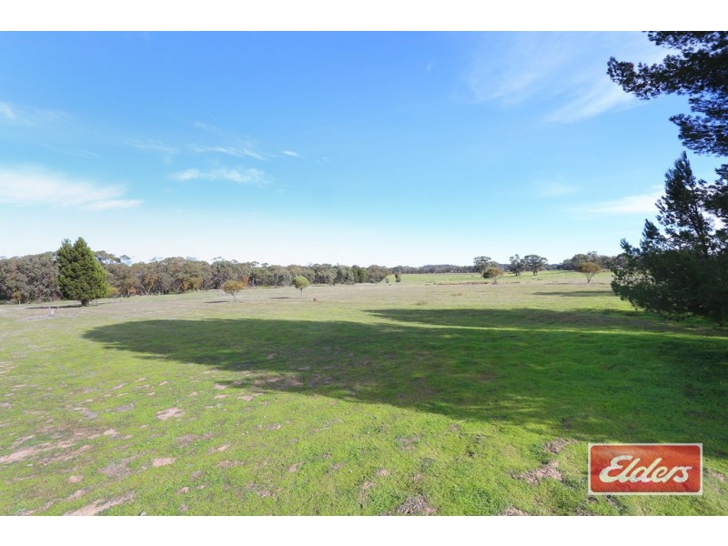 Lot 1 Kalimna Road West, Nuriootpa SA 5355