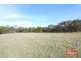 Lot 2 Kalimna Road West, Nuriootpa SA 5355
