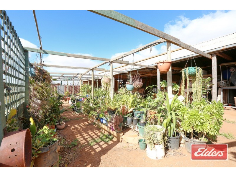 1992 Frankton Road, Neales Flat SA 5374