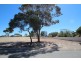 35 Schuster Street, Freeling SA 5372