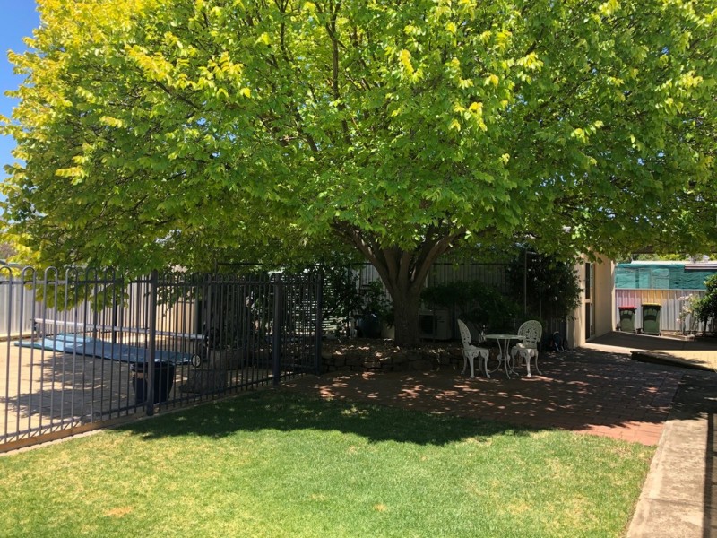 19 Falkenberg Road, Nuriootpa SA 5355