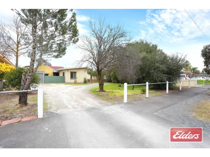 11 Baird Street, Nuriootpa SA 5355