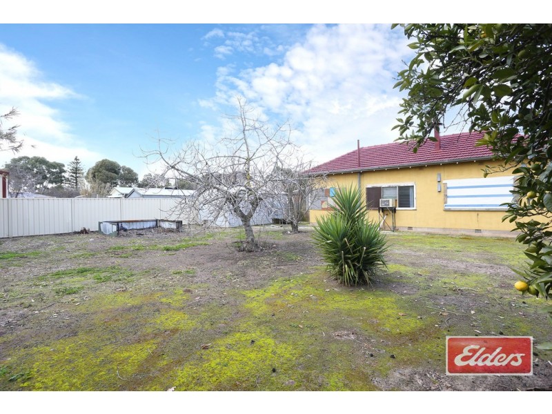 11 Baird Street, Nuriootpa SA 5355