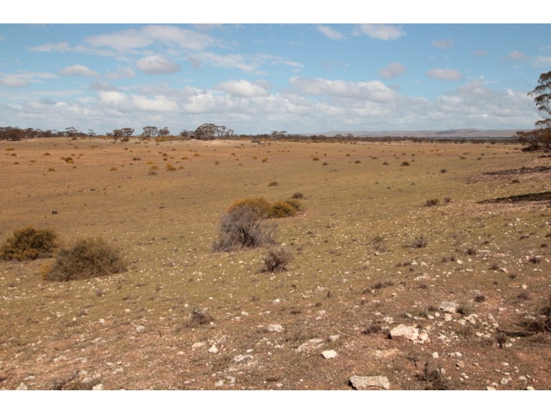 2156 Tamkes Road, Sedan SA 5353