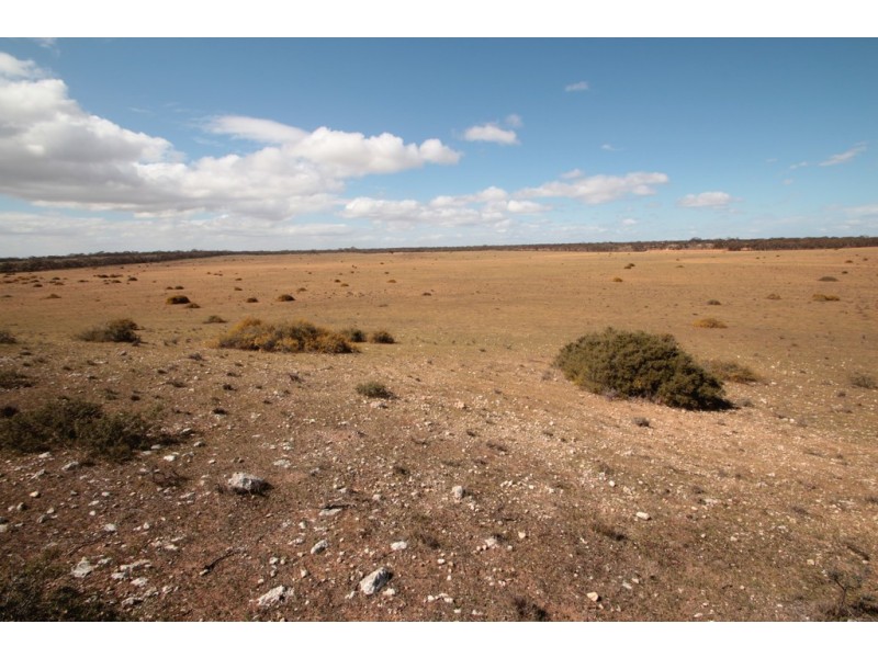 2156 Tamkes Road, Sedan SA 5353