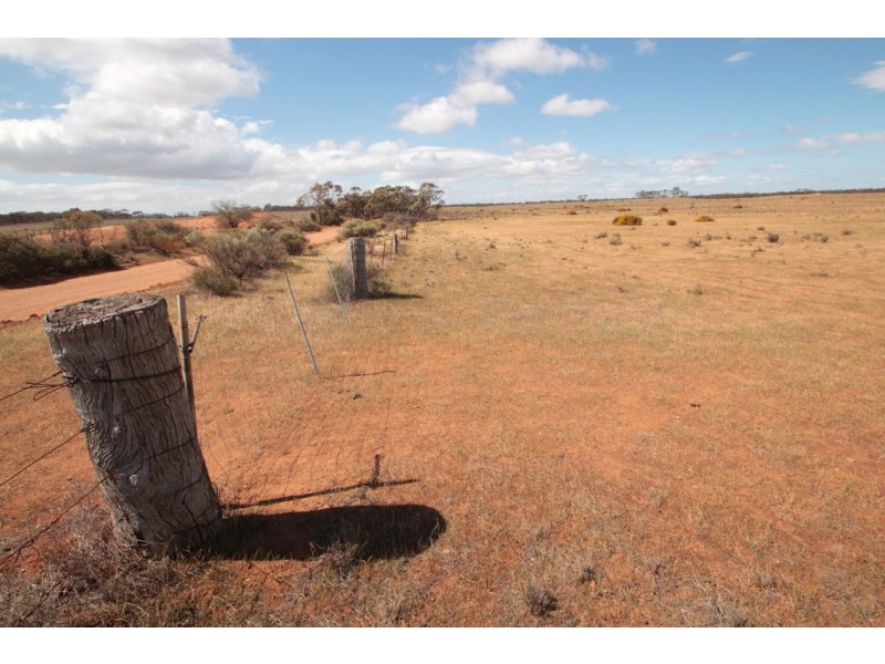 2156 Tamkes Road, Sedan SA 5353