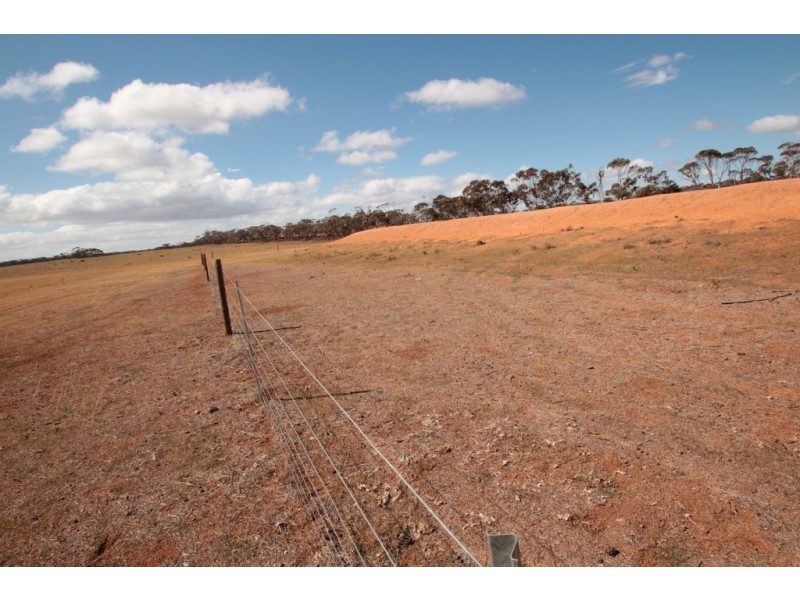 2156 Tamkes Road, Sedan SA 5353