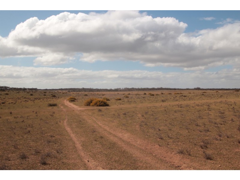 2156 Tamkes Road, Sedan SA 5353