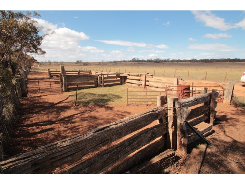 2156 Tamkes Road, Sedan SA 5353