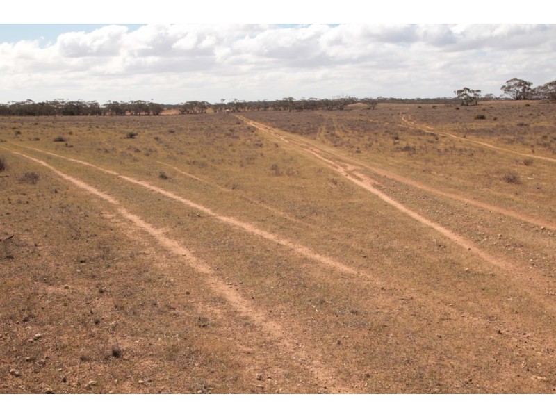 2156 Tamkes Road, Sedan SA 5353