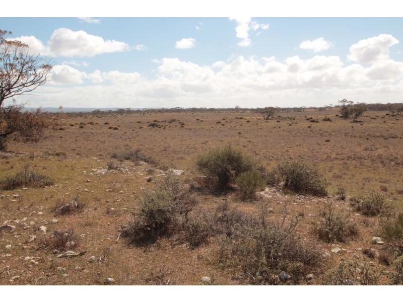 2156 Tamkes Road, Sedan SA 5353