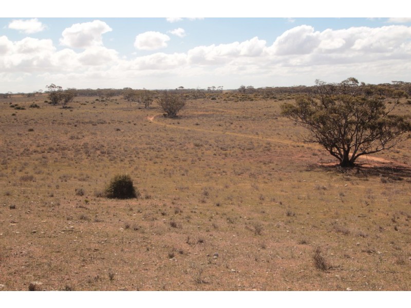 2156 Tamkes Road, Sedan SA 5353