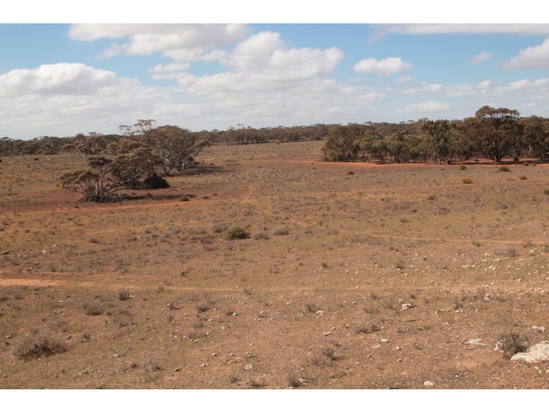 2156 Tamkes Road, Sedan SA 5353