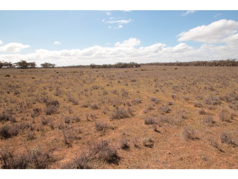 2156 Tamkes Road, Sedan SA 5353