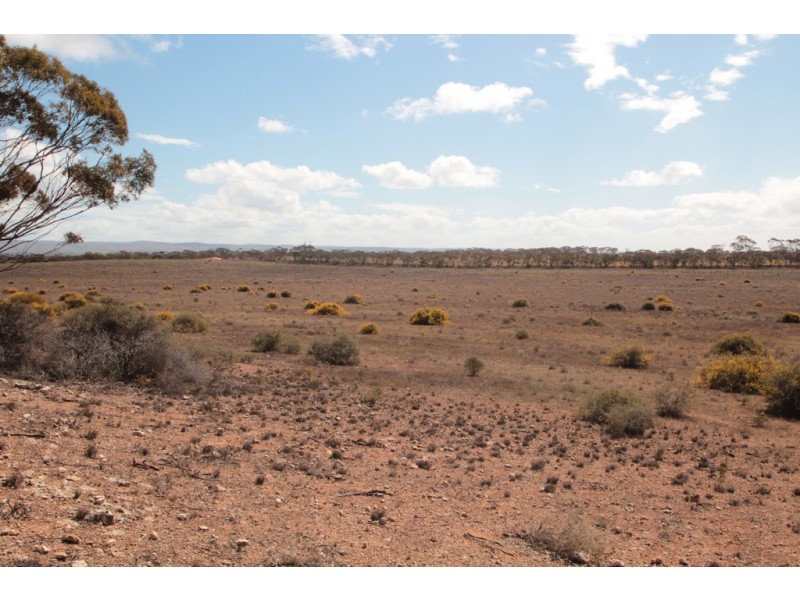 2156 Tamkes Road, Sedan SA 5353