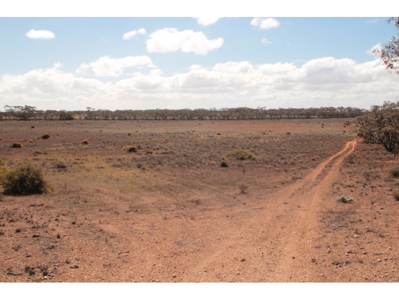 2156 Tamkes Road, Sedan SA 5353