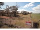 2156 Tamkes Road, Sedan SA 5353