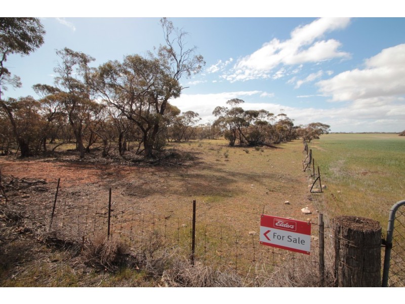 2156 Tamkes Road, Sedan SA 5353