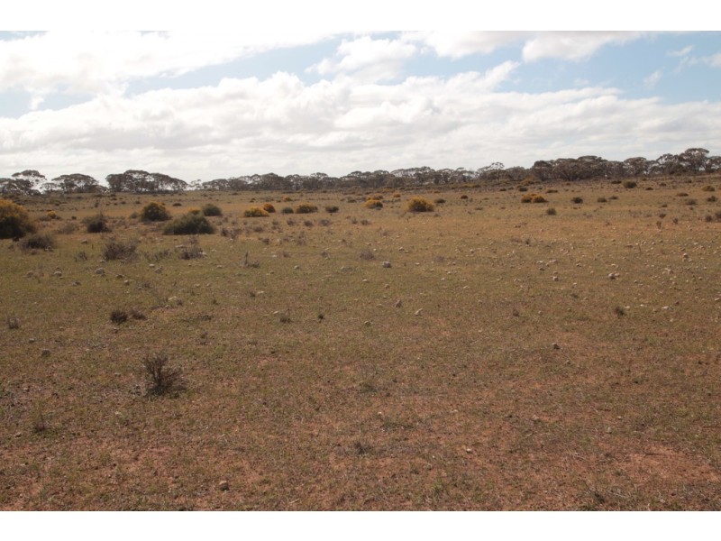 2156 Tamkes Road, Sedan SA 5353