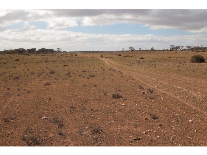 2156 Tamkes Road, Sedan SA 5353