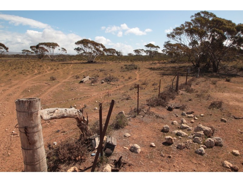 2156 Tamkes Road, Sedan SA 5353